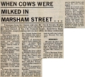 19790316 COWS MILKED CN